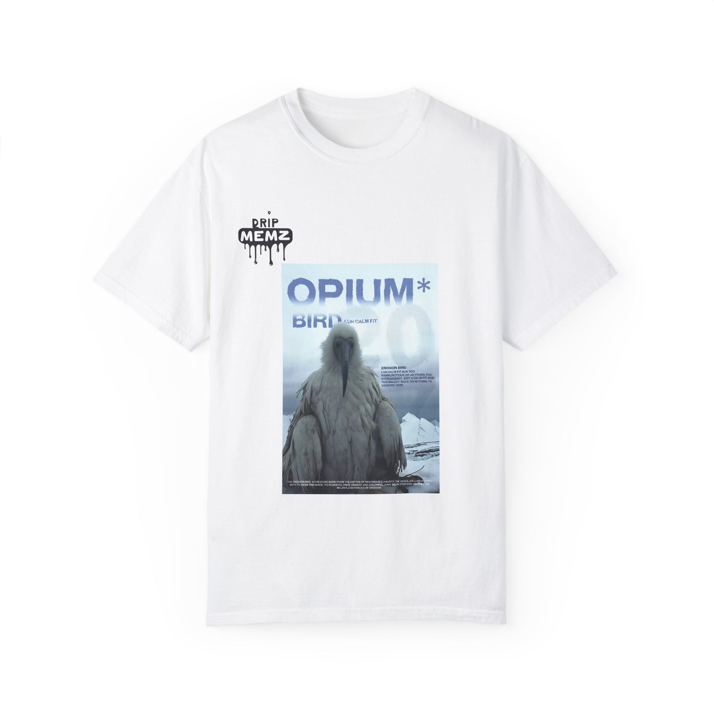 Garment-Dyed T-shirt 'meme from 2027' Premium Release